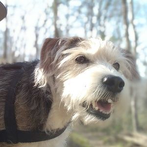 Meet your Posher, Tim